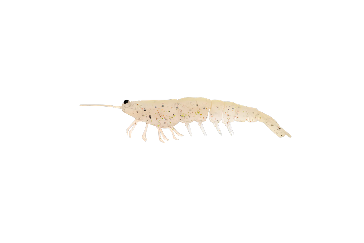 MEGAPRAWN 100mm / 4" - Image 12
