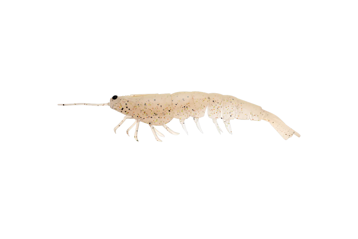 MEGAPRAWN 125mm / 5" - Image 12